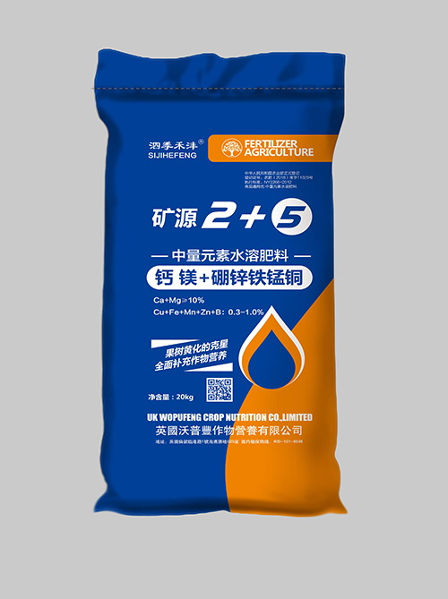 矿源2+5